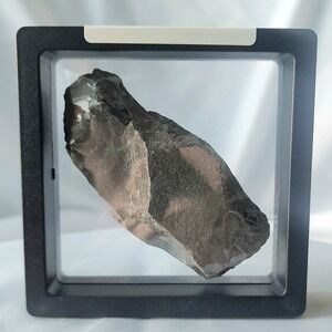 Unique Rare Carboniferous Coal Era Fossil From World Famous Union Chaple Mines